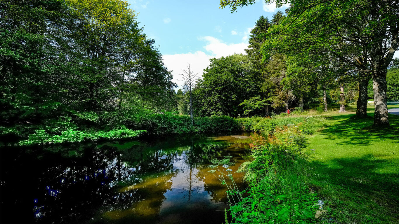 Atholl Palace Pond