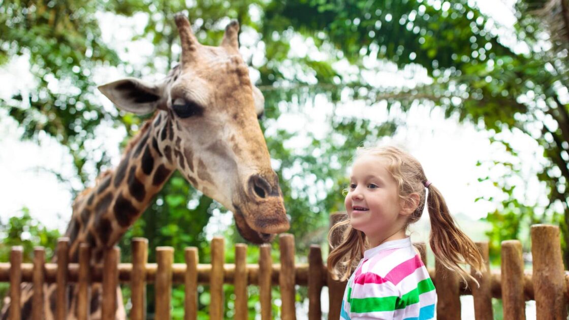 Safari Park Atholl