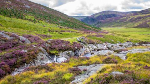 Cairngorms National Park PH Canva