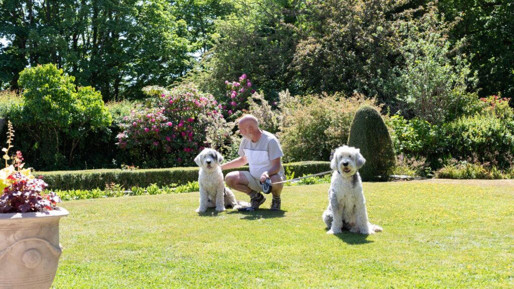 Dog Friendly Hotel Lake District