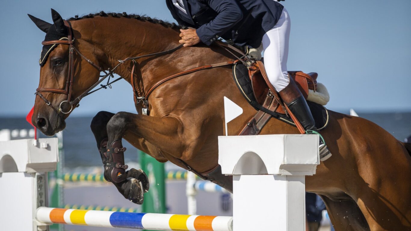 Scone Palace International Horse Trials