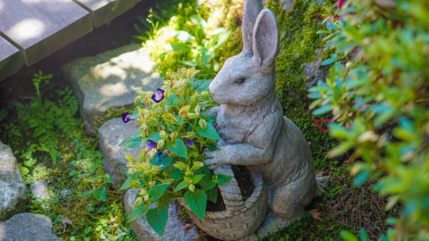 rabbit statue