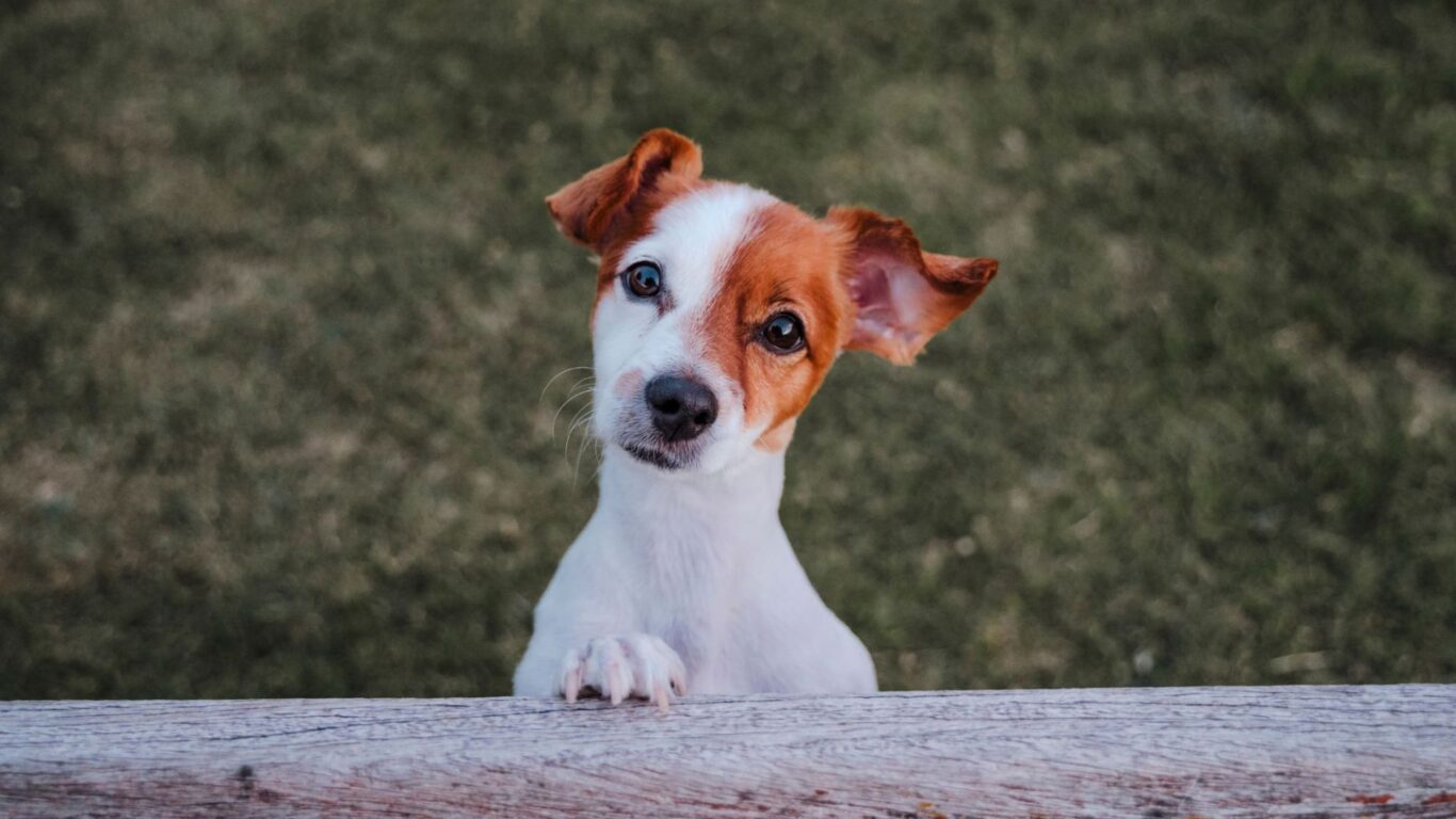 xr:d:DAFZ4zp9_qM:6,j:3278022238,t:23020714