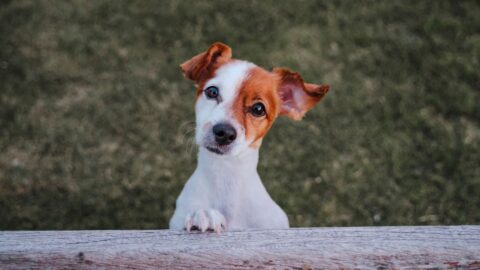 xr:d:DAFZ4zp9_qM:6,j:3278022238,t:23020714