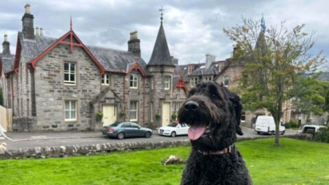 Scotlands Dog Friendly Accommodation