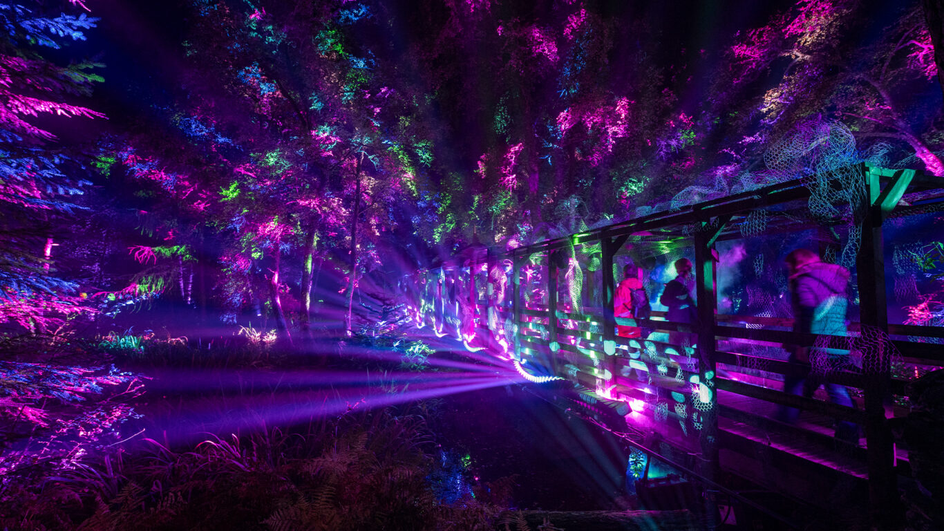 Enchanted-Forest-2026